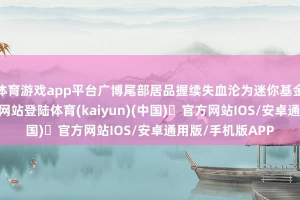 体育游戏app平台广博尾部居品握续失血沦为迷你基金-开yun体育官方网站登陆体育(kaiyun)(中国)❥官方网站IOS/安卓通用版/手机版APP