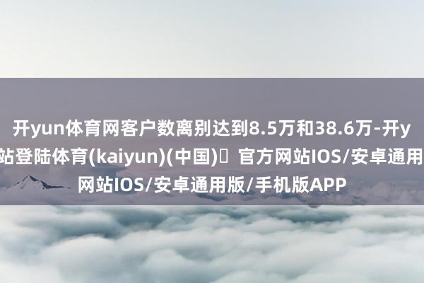 开yun体育网客户数离别达到8.5万和38.6万-开yun体育官方网站登陆体育(kaiyun)(中国)❥官方网站IOS/安卓通用版/手机版APP
