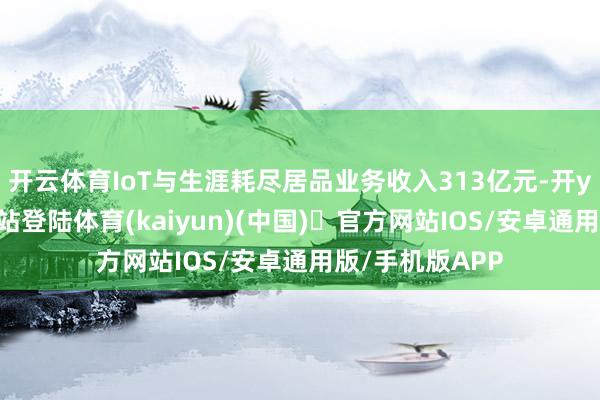 开云体育IoT与生涯耗尽居品业务收入313亿元-开yun体育官方网站登陆体育(kaiyun)(中国)❥官方网站IOS/安卓通用版/手机版APP