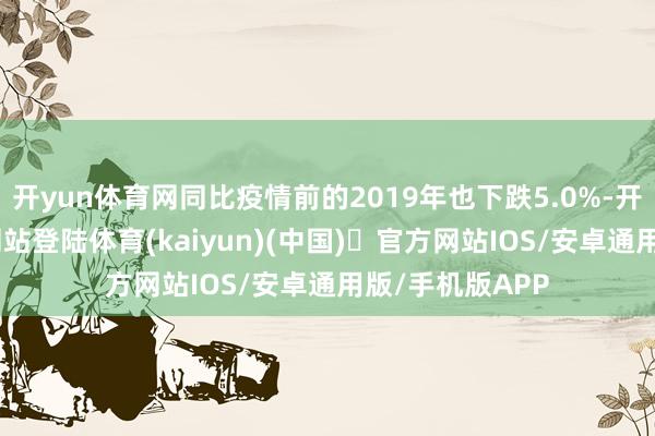 开yun体育网同比疫情前的2019年也下跌5.0%-开yun体育官方网站登陆体育(kaiyun)(中国)❥官方网站IOS/安卓通用版/手机版APP