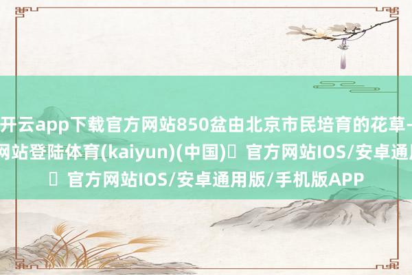 开云app下载官方网站850盆由北京市民培育的花草-开yun体育官方网站登陆体育(kaiyun)(中国)❥官方网站IOS/安卓通用版/手机版APP