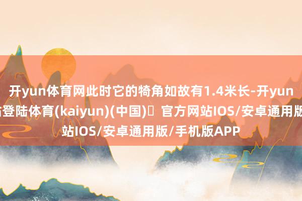 开yun体育网此时它的犄角如故有1.4米长-开yun体育官方网站登陆体育(kaiyun)(中国)❥官方网站IOS/安卓通用版/手机版APP
