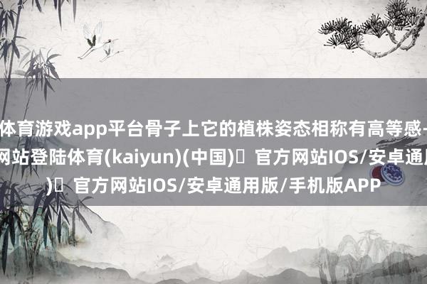 体育游戏app平台骨子上它的植株姿态相称有高等感-开yun体育官方网站登陆体育(kaiyun)(中国)❥官方网站IOS/安卓通用版/手机版APP