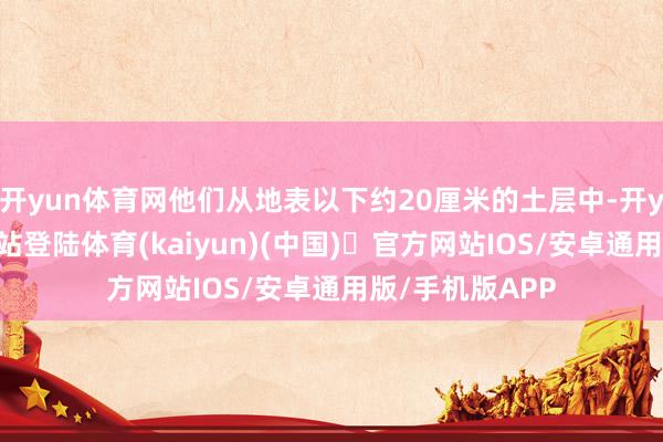 开yun体育网他们从地表以下约20厘米的土层中-开yun体育官方网站登陆体育(kaiyun)(中国)❥官方网站IOS/安卓通用版/手机版APP