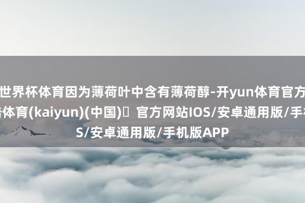 世界杯体育因为薄荷叶中含有薄荷醇-开yun体育官方网站登陆体育(kaiyun)(中国)❥官方网站IOS/安卓通用版/手机版APP